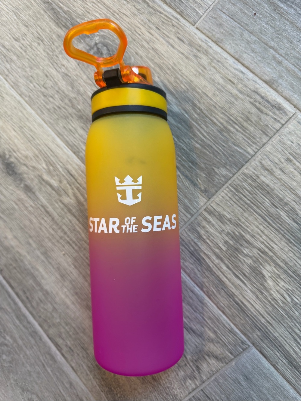 Star of the Seas Royal Caribbean Gradient Water Bottle - Yellow to Pink